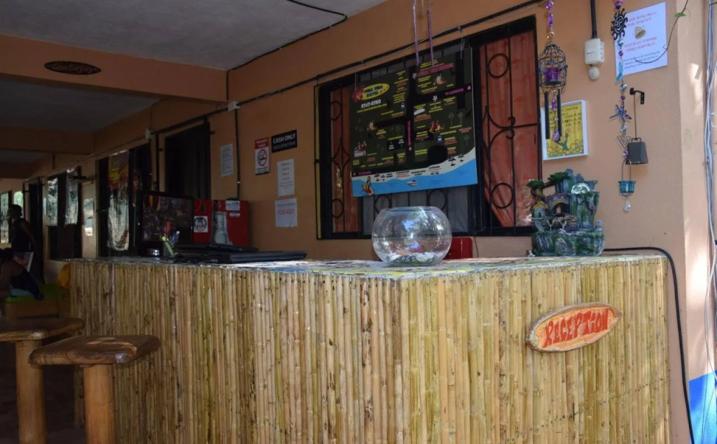 Casa Pura Vida Surf Hostel - Tamarindo Costa Rica
