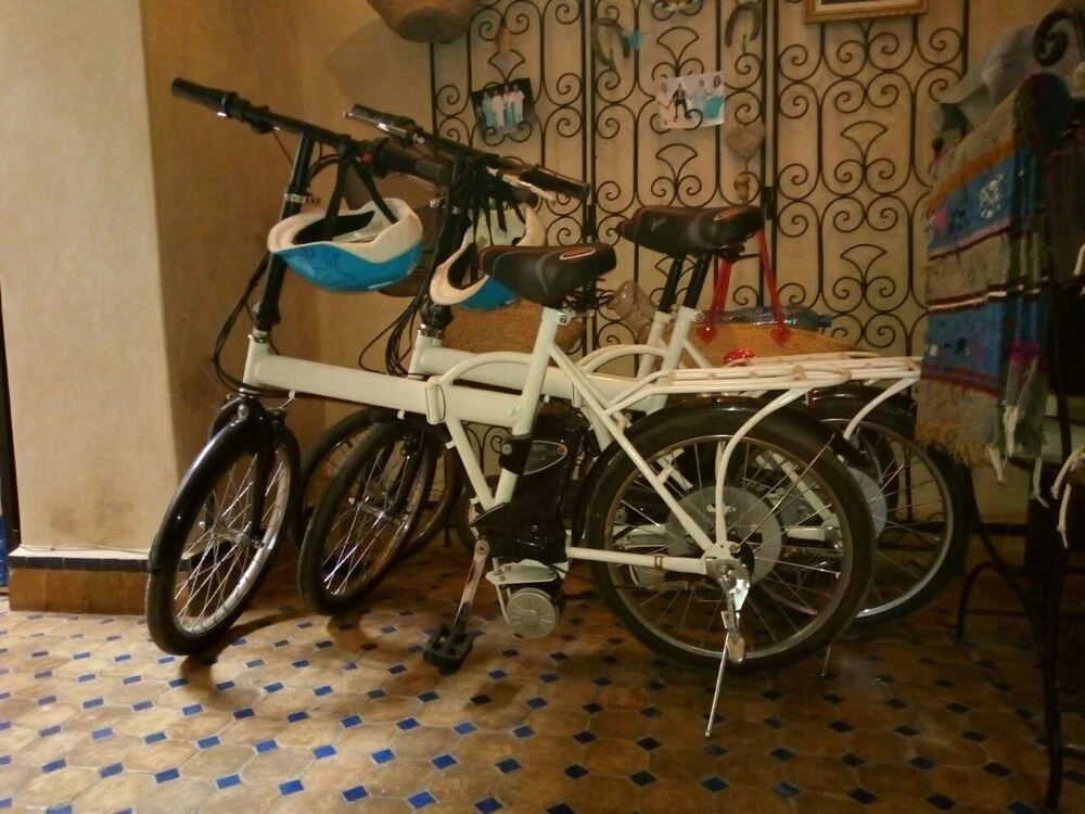 Riad Zinnha