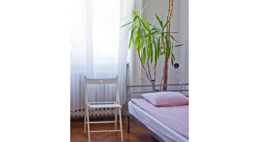 Activity Hostel