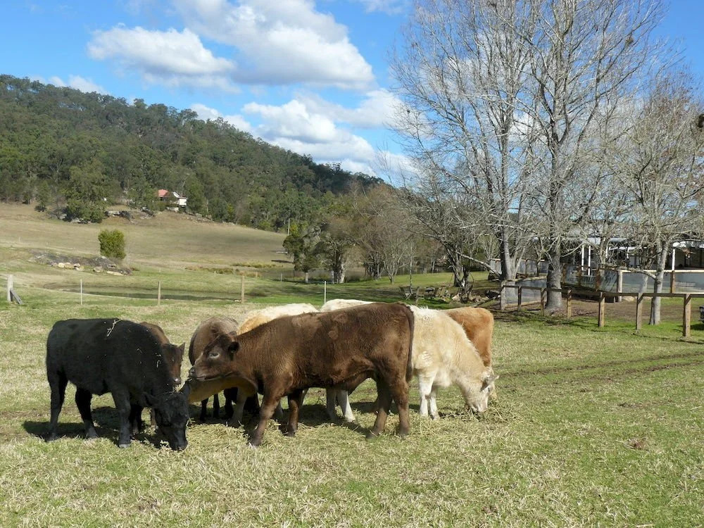 Avoca House