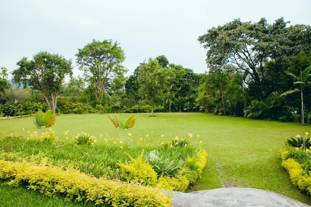 Gorillas Lake Kivu Hotel