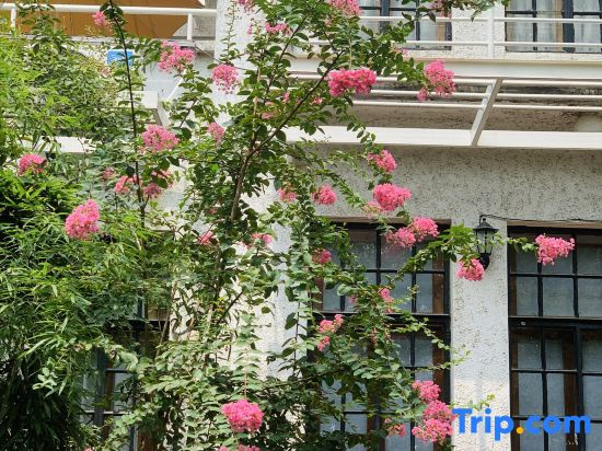 Yinshe Xianglin Homestay (Shanghai Hongqiao Airport Convention and Exhibition Center Branch)