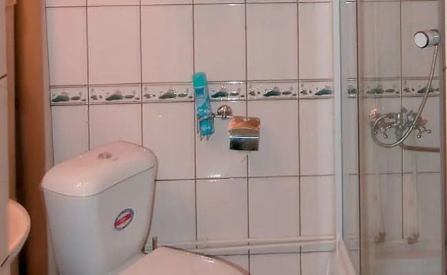 Вега Плюс