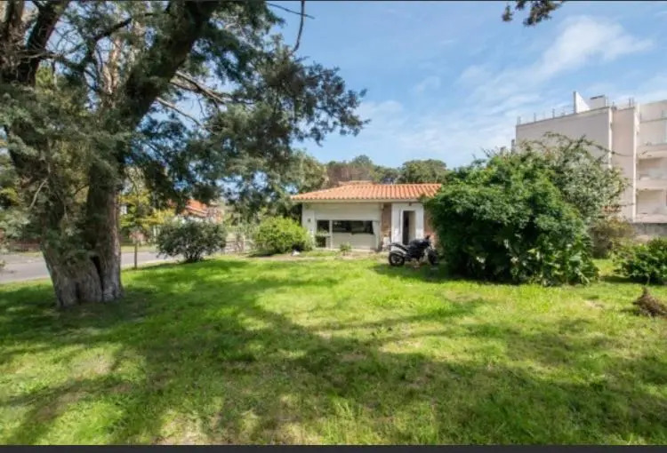 Georgy house