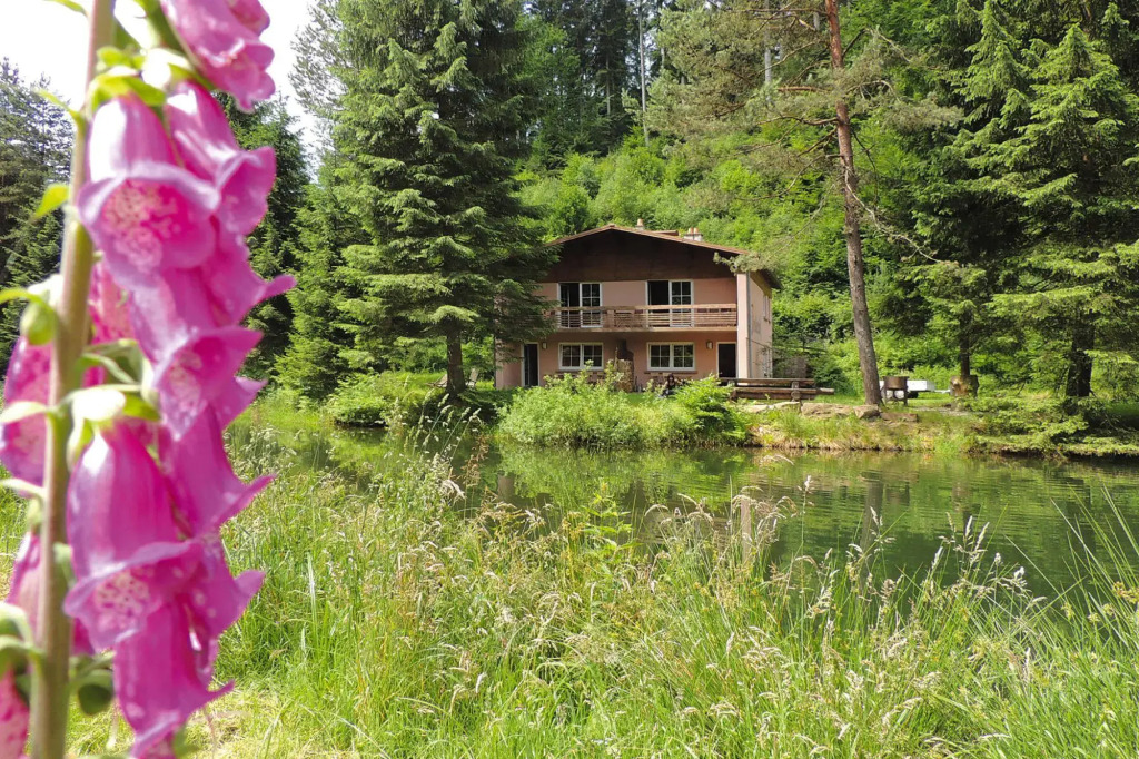 Apartment in a charming location on Forellenhof, Zorn Valley, Dabo