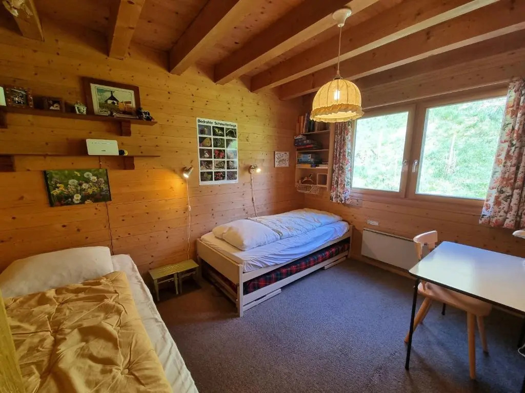 Bachhus Ba1