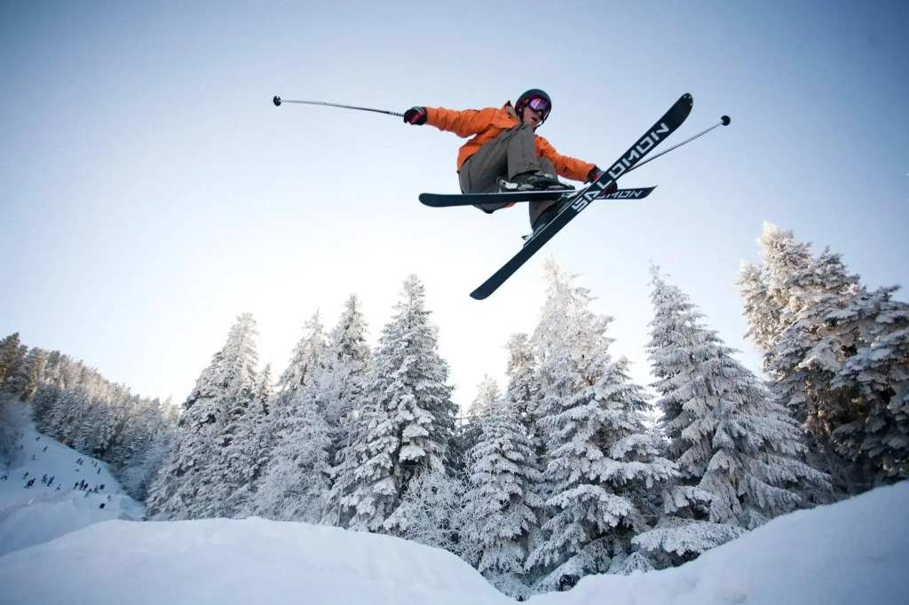 Borovets Gardens Studio D36
