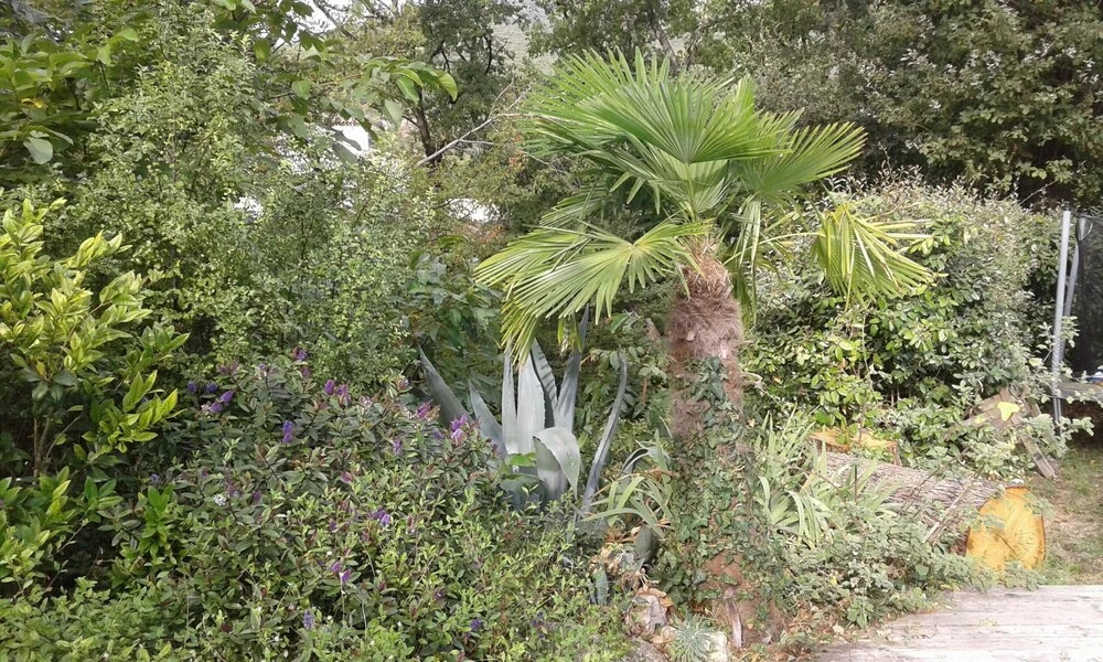 Villa With 4 Bedrooms in Tourrettes-sur-loup, With Wonderful sea View,