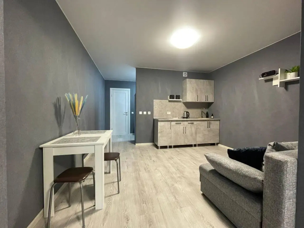 Апартаменты на улице Карла Маркса  120к2