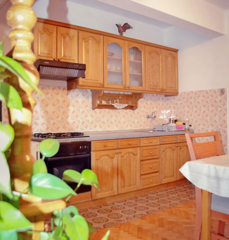 Apartment Anica