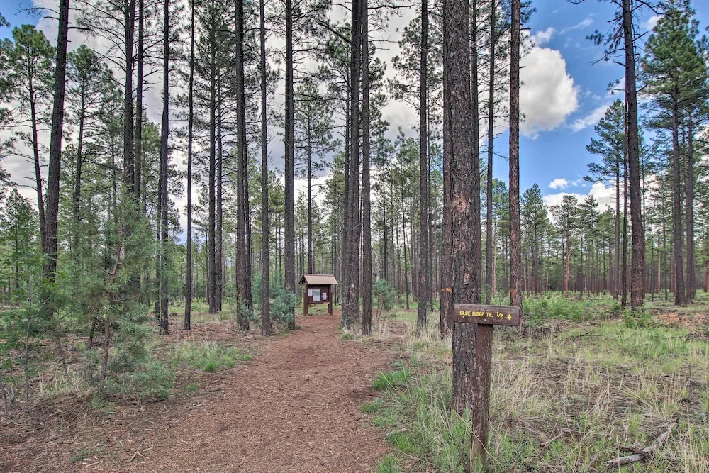 Game Room & Wooded Views: Pinetop Cabin!