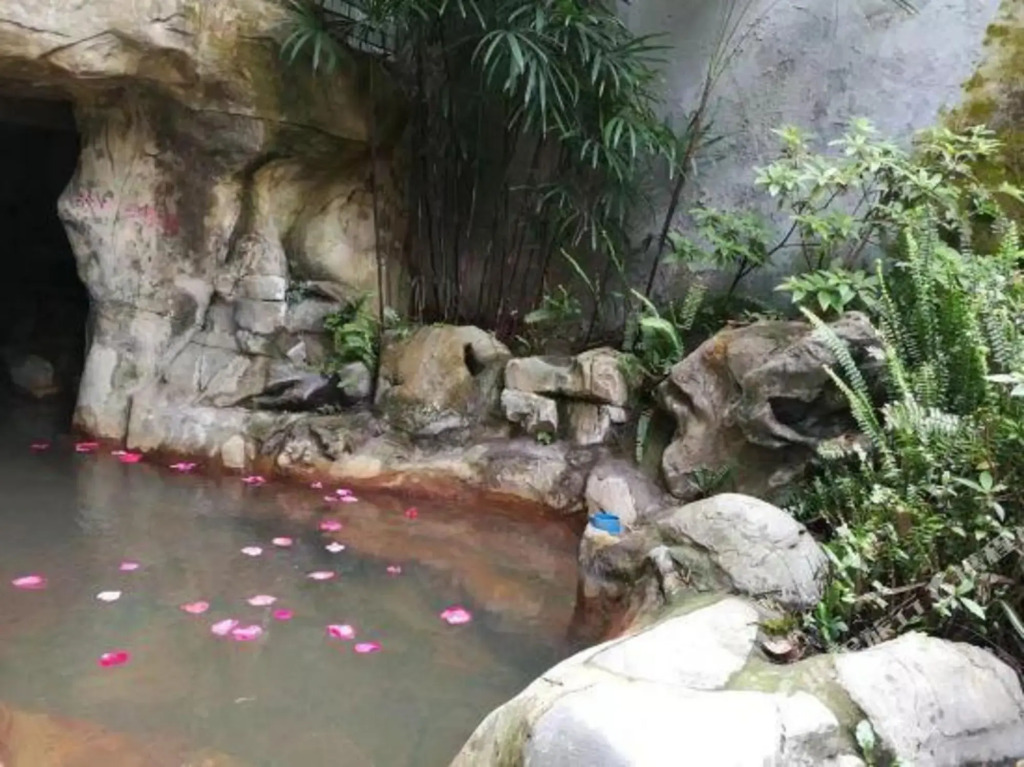 Chongqing White-collars East Hotspring Hotel