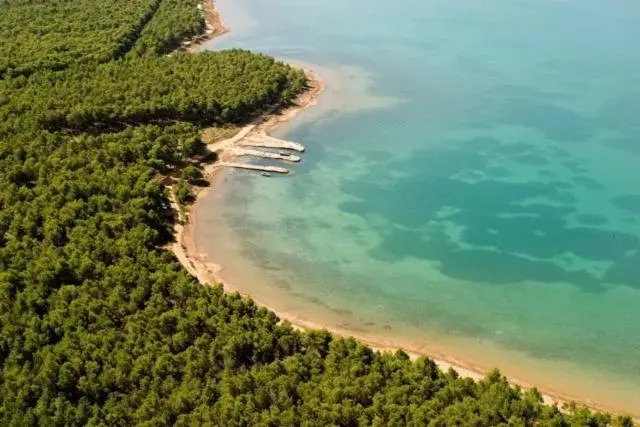 Apartmani Vrsi Mulo