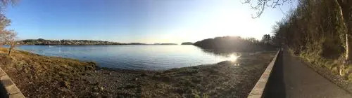 The Cove Lodge