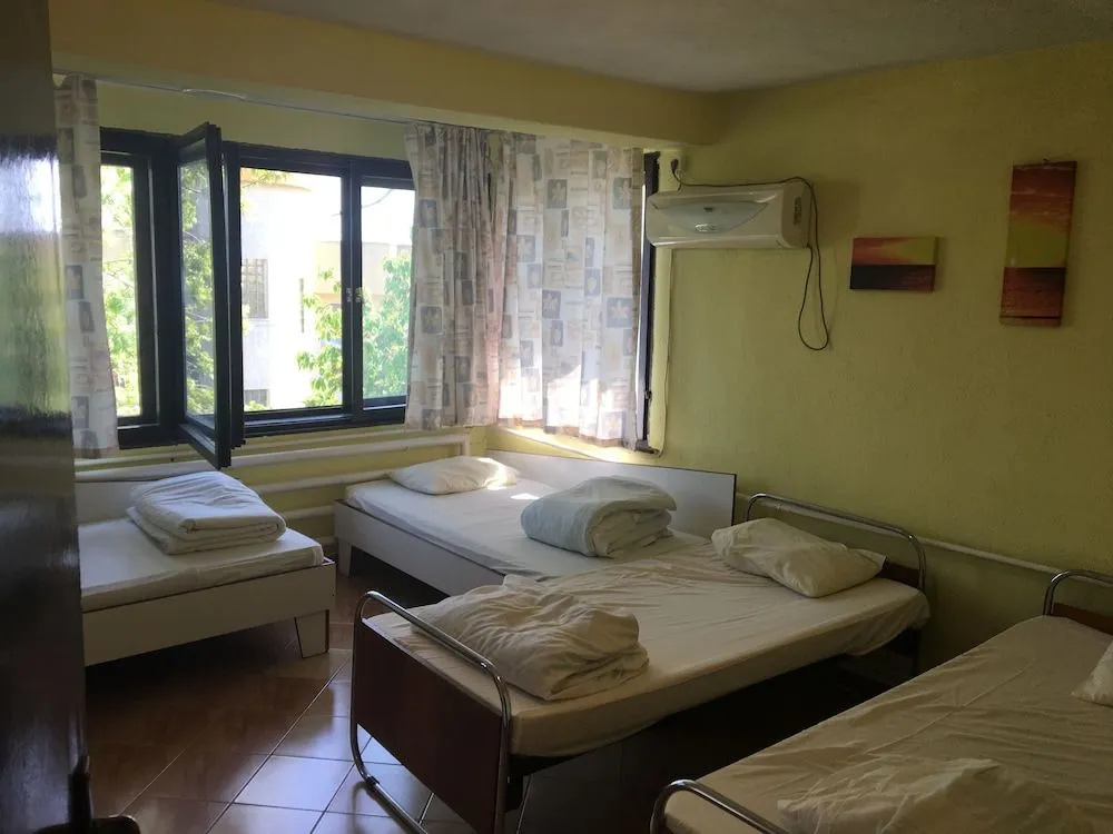 Hair of the Dog Hostel