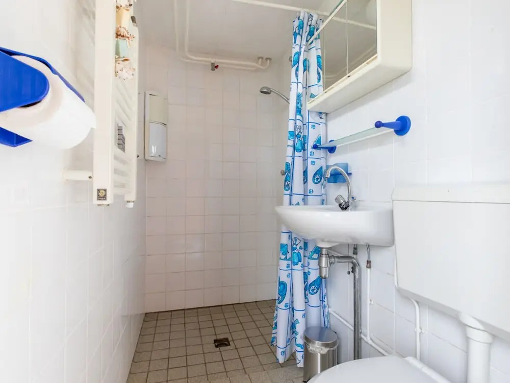 Holiday Home in De Punt With Pool & Garden