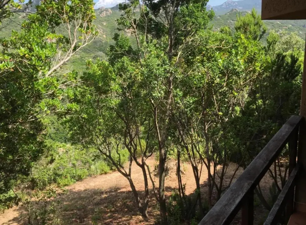 Il Boschetto dei Corbezzoli Villetta 1H