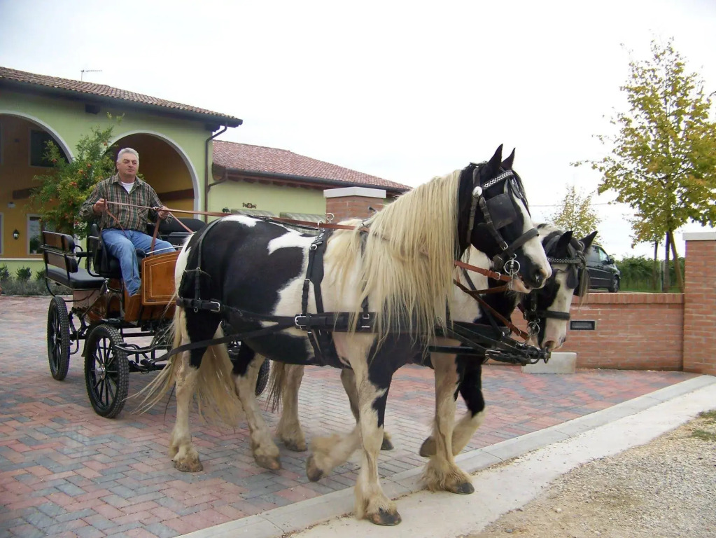 Agriturismo Nonna Rina