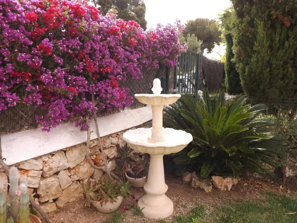 Bungalow Playa dOr, 2