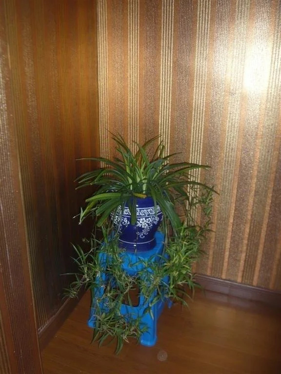 Yangzhong Sanmao sunshine Motel