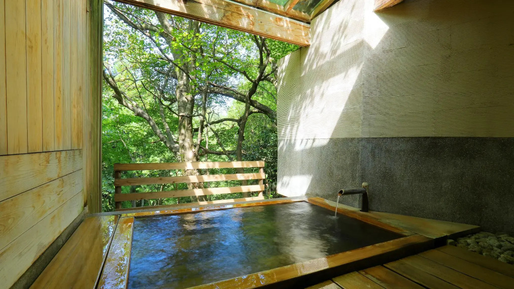Tatsunoyasanso Satonoyu