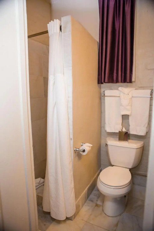 Inn on Ursulines, a French Quarter Guest Houses Property