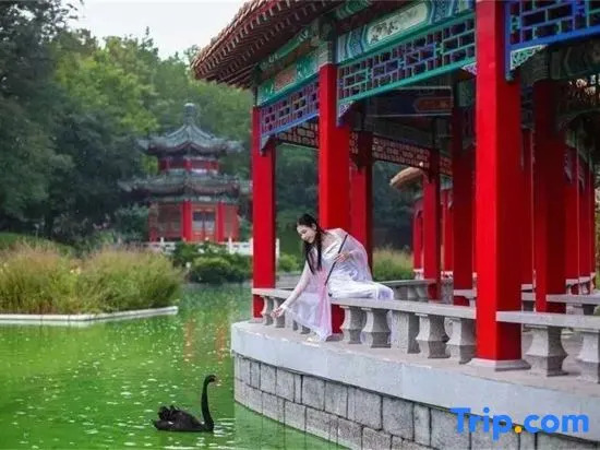 Dongshan Guesthouse