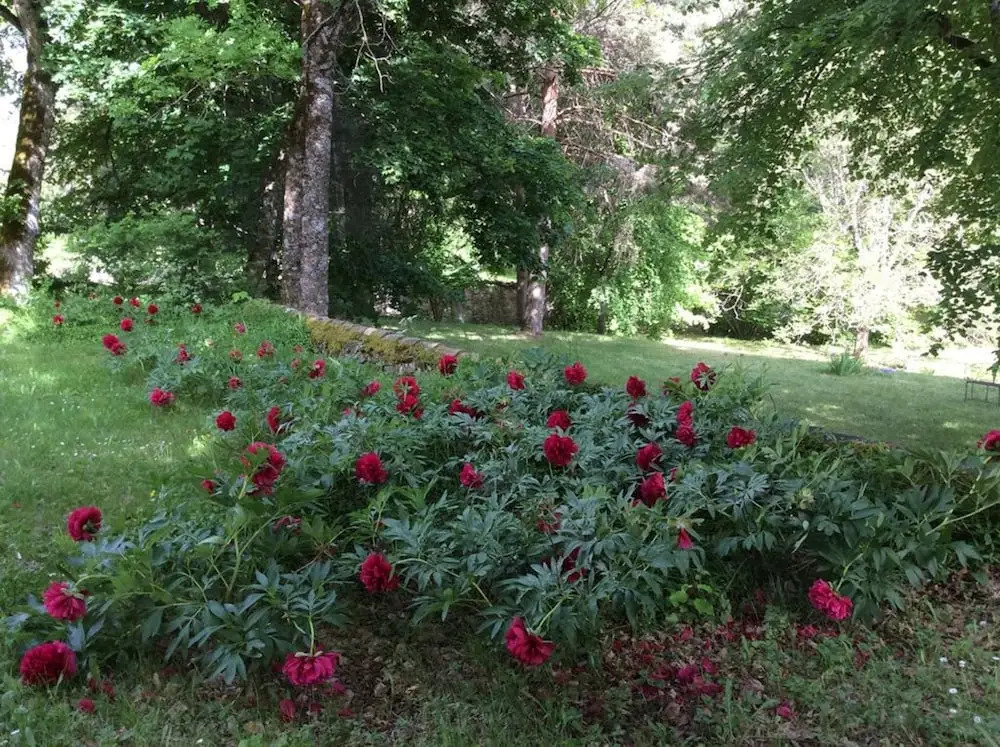 Chateau de Laric