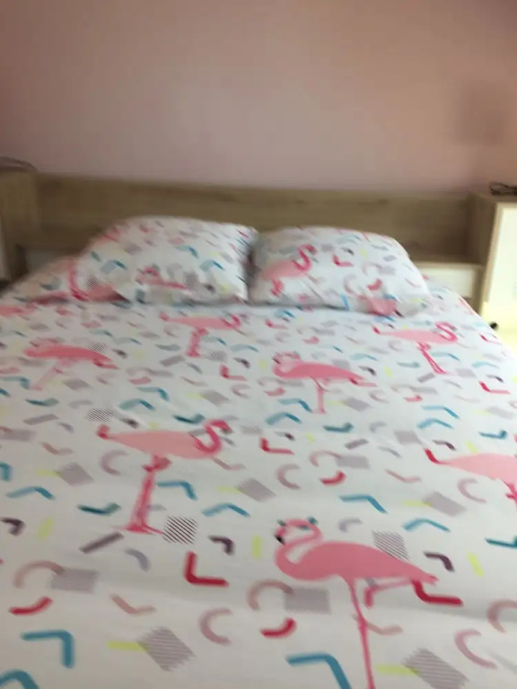 Logement proche Lascaux