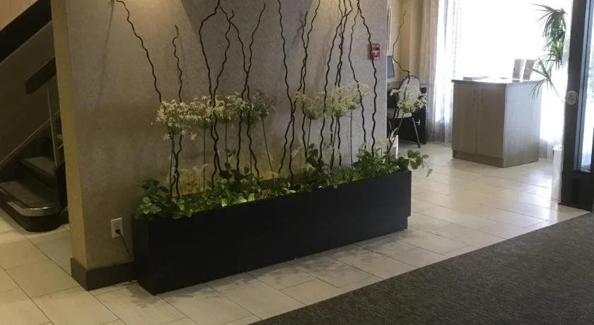 Auberge Madeli