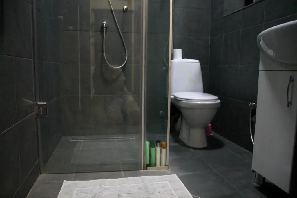 Vake apartment