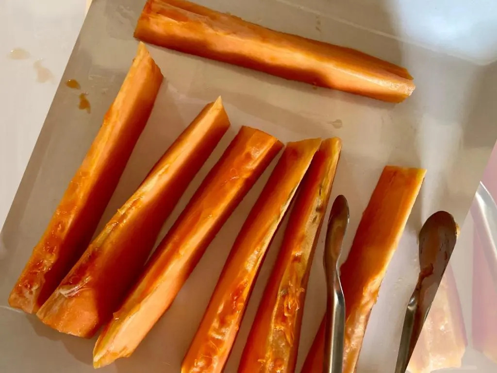 Pousada Ricatins