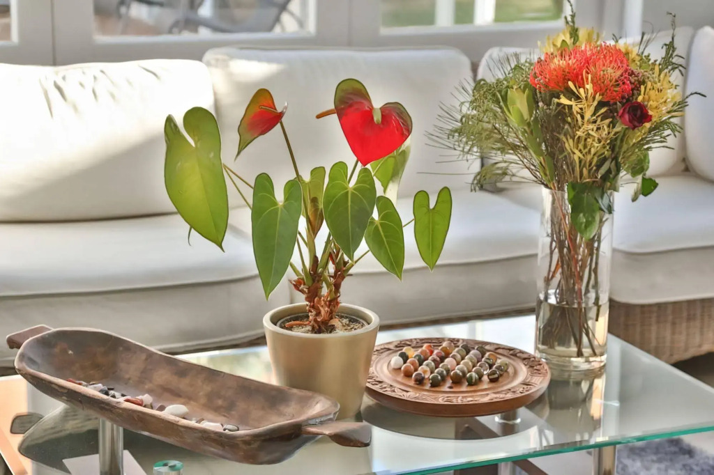 Abington Manor - Fish Hoek Guesthouse