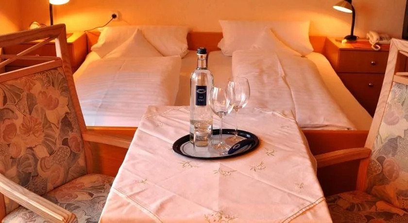Hotel Schick