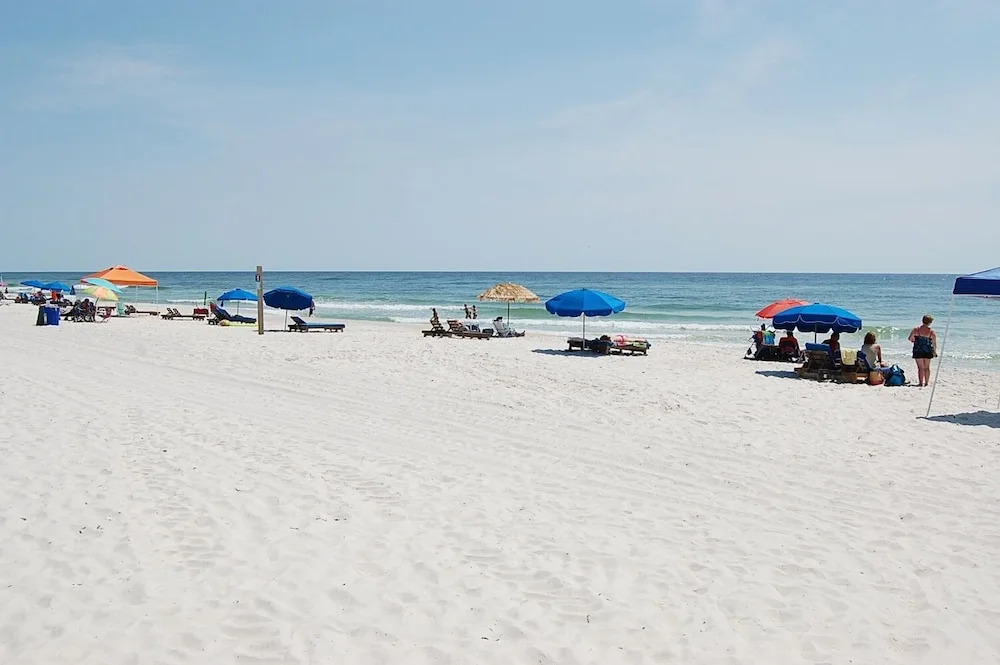 Surfside Shores 2502 condo
