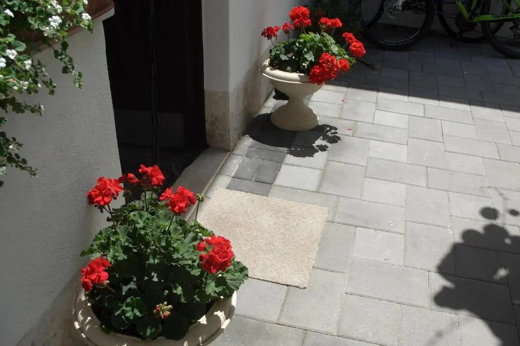 Apartment Vesna