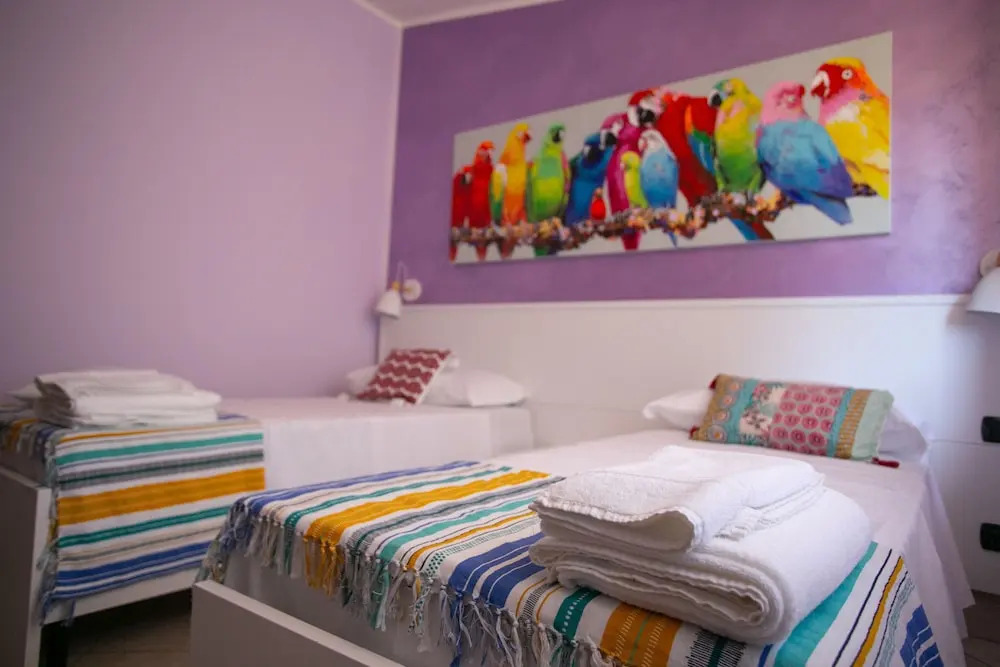 B&B Trepo