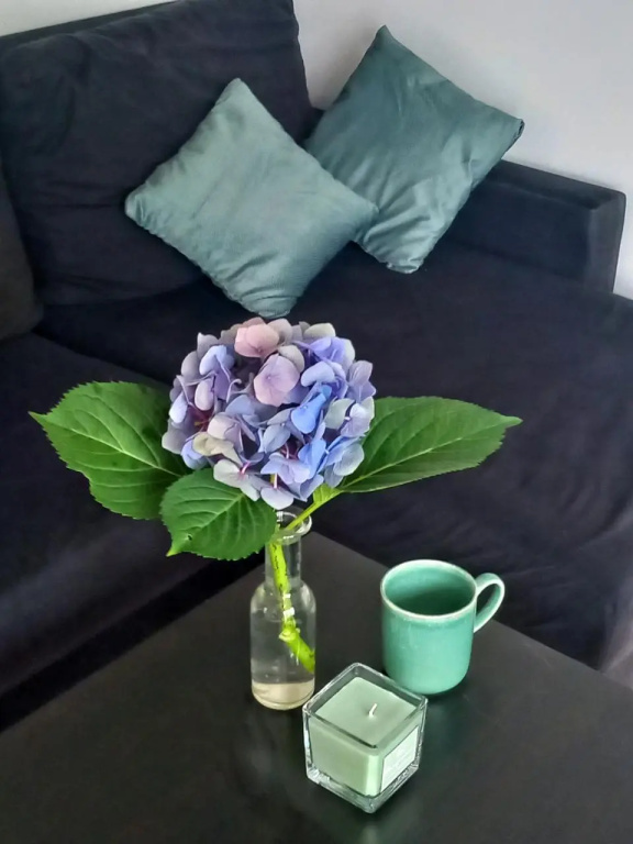 Eleonor Accommodation Exclusive House