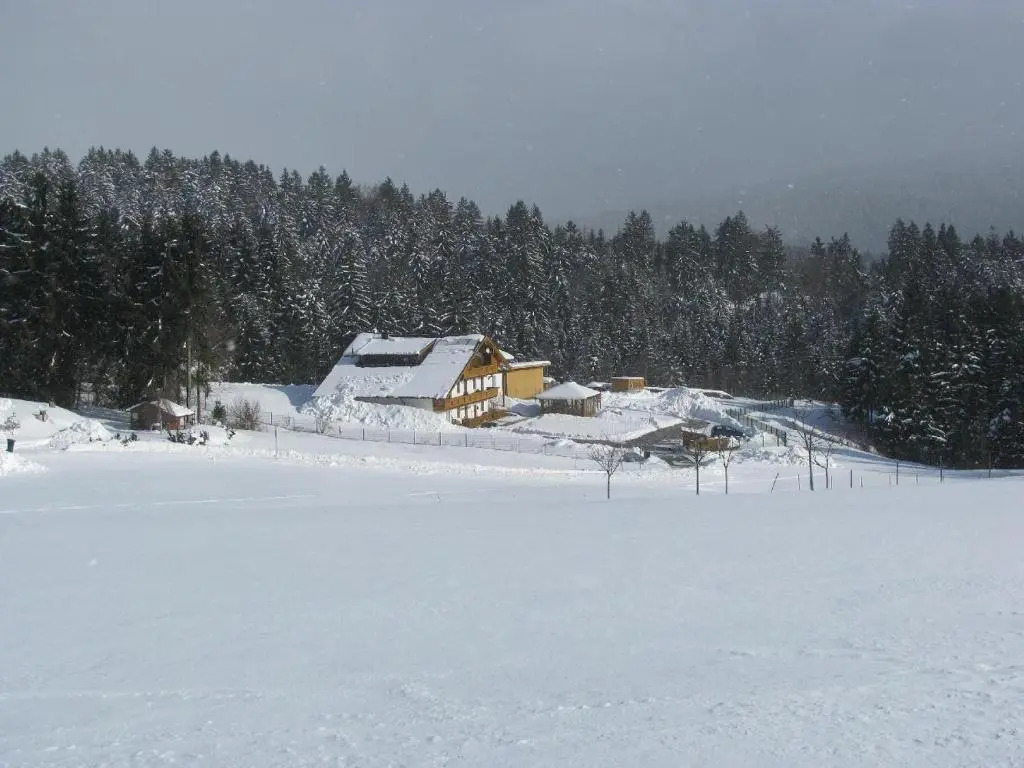 Klausgupf