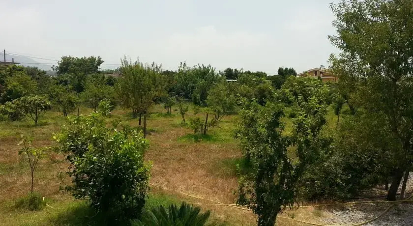 Casale Amico
