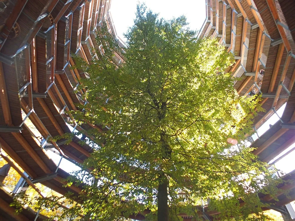 Skandinavisch Eingerichtetes Familienferienhaus