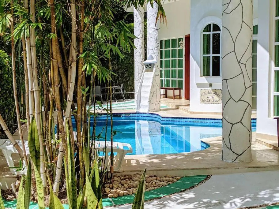 18br up to 50guest Castillos Playacar walk to Beach and 5th Ave 1000Mbps