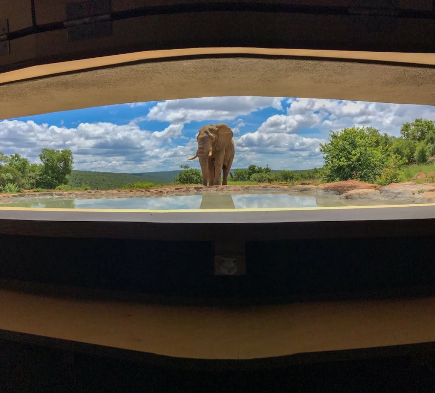 Laluka Safari Lodge