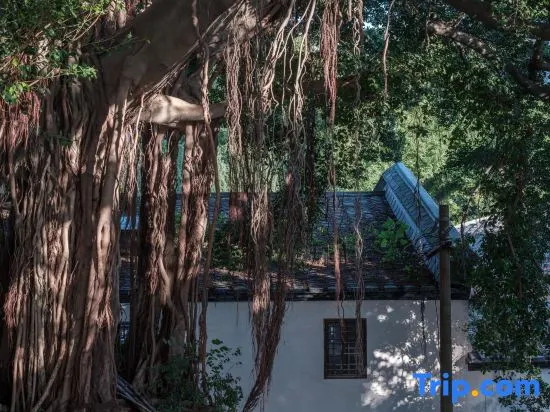 Dieyuan 1923. Yantai Mountain Old Western-style Villa