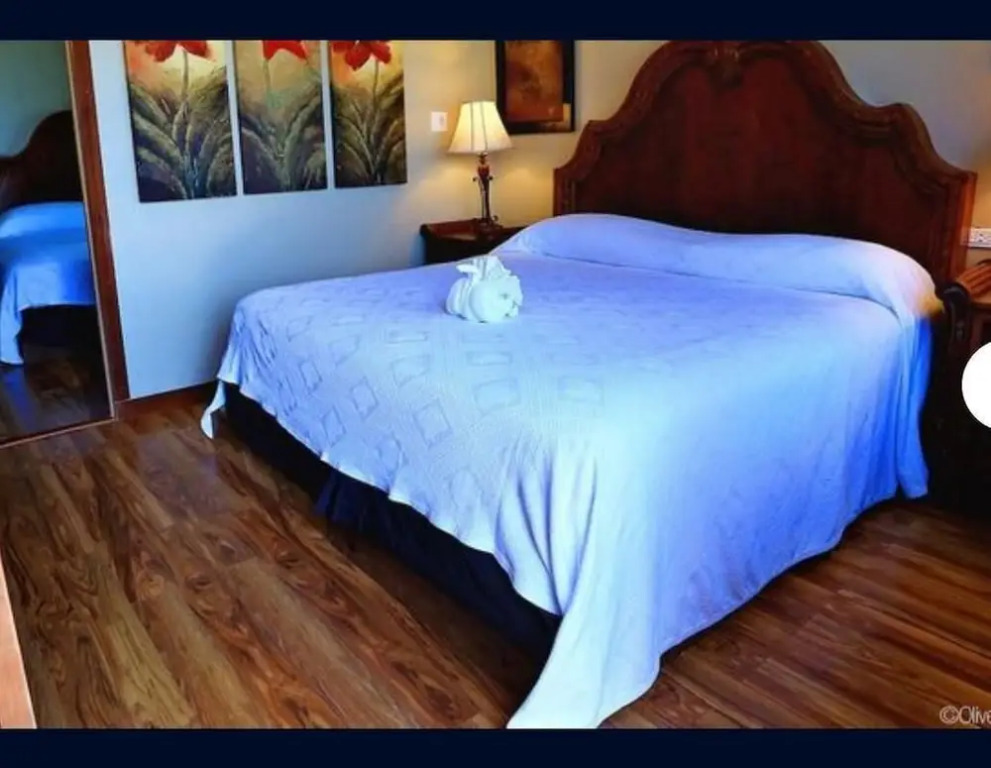 Hotel Royal Blue & Golf Cart Rental