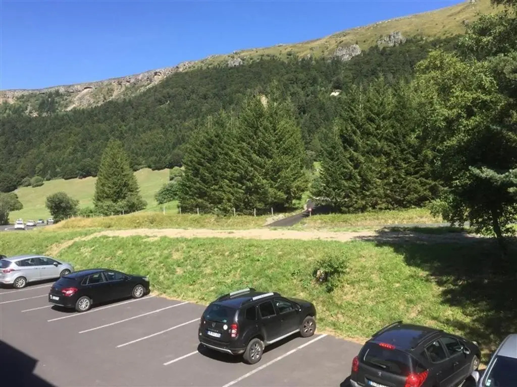Appartement Mont-Dore, 2 pièces, 4 personnes - FR-1-415-79