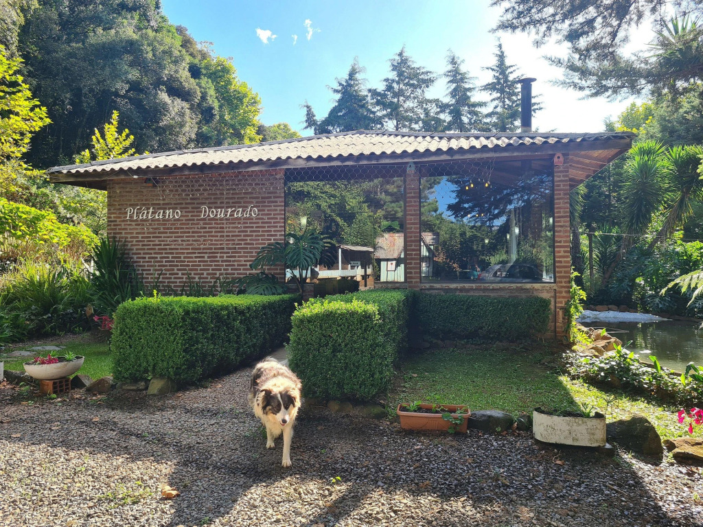 Suites Recanto Dos Plátanos   Suite 01