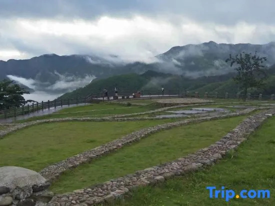 Yunhe Terraced Fields Tianjian Yunwu Homestay