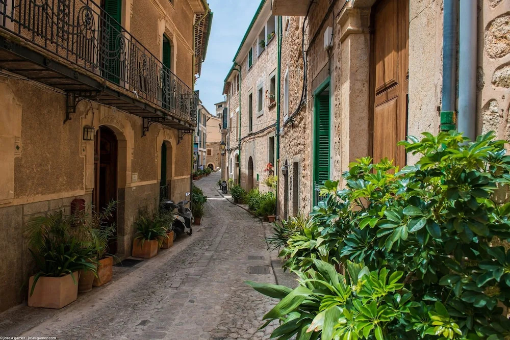 Oliveret Des Puig