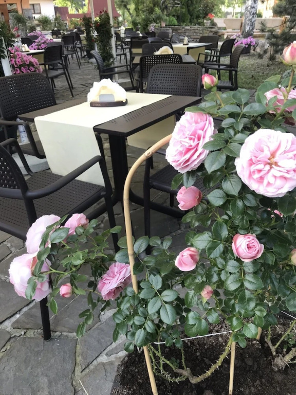 ZAJAZD BIAŁCZAŃSKI Dom Wypoczynkowy Restauracja i Klub Bilardowy